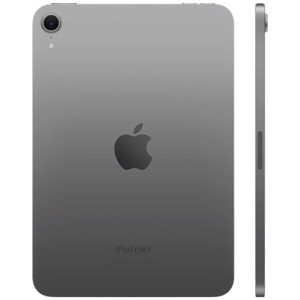 iPad Mini Wi-Fi + Cellular 256GB Space Grey 2024 (MXPT3)