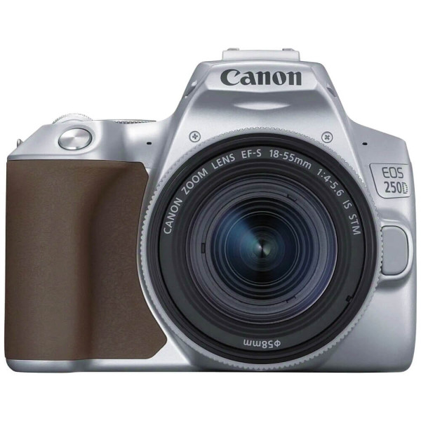 Зеркальный фотоаппарат Canon EOS 250D kit (18-55mm) EF-S IS STM Silver (3461C003)