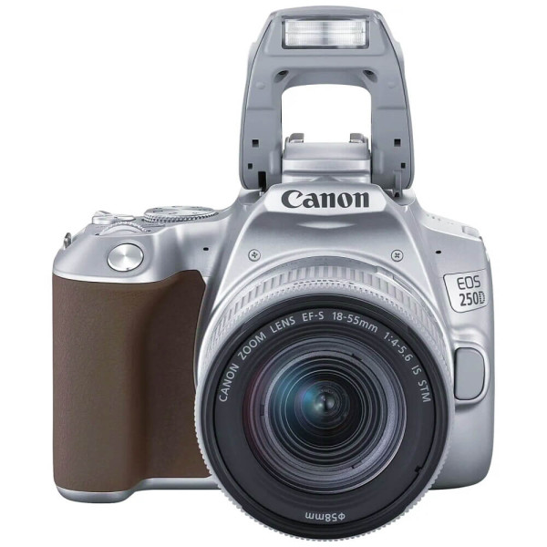 Зеркальный фотоаппарат Canon EOS 250D kit (18-55mm) EF-S IS STM Silver (3461C003)