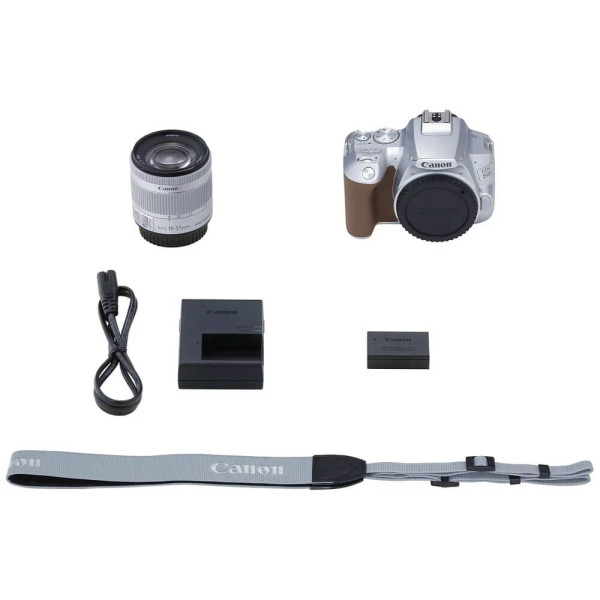 Зеркальный фотоаппарат Canon EOS 250D kit (18-55mm) EF-S IS STM Silver (3461C003)