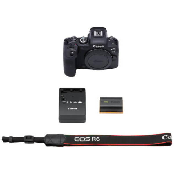 Беззеркальный фотоаппарат Canon EOS R6 body (4082C044)