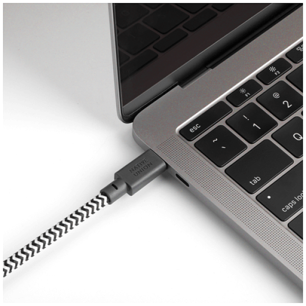 Кабель Native Union Belt Cable USB-C to USB-C Zebra (1.2 m) (BELT-C-ZEB-2-NP)