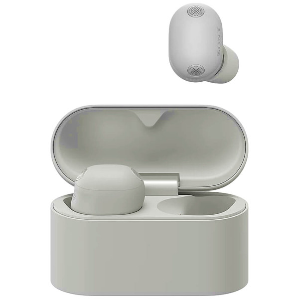 Наушники TWS Sony WF-1000XM6 Platinum Silver (WF1000XM6S.CE7)