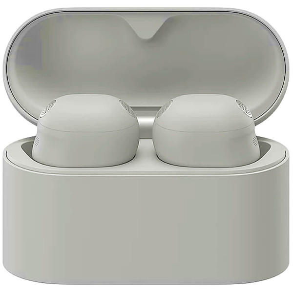 Наушники TWS Sony WF-1000XM6 Platinum Silver (WF1000XM6S.CE7)