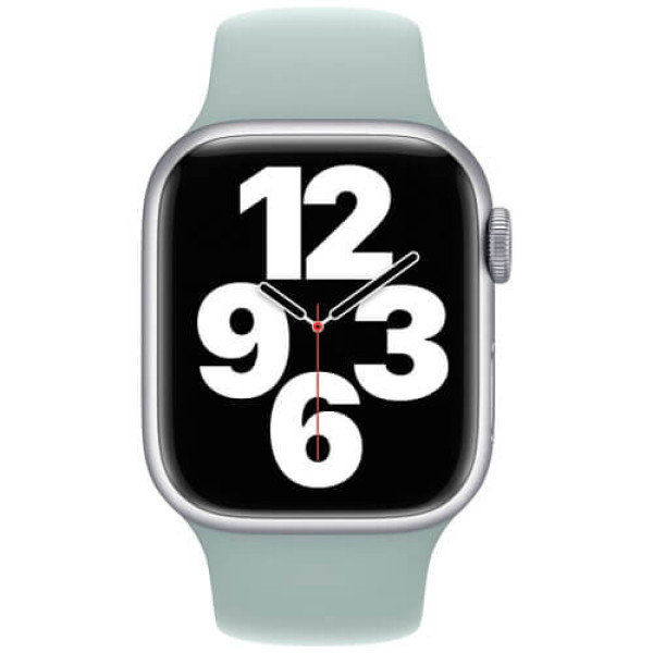 Ремешок Apple Watch 45/49/44/42mm Succulent Sport Band (MP7M3)