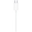 Наушники Apple EarPods (USB-C) (MTJY3/MYQY3) (Уценка)