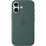 Чехол Apple iPhone 16 Silicone Case with MagSafe Lake Green (MYY83)