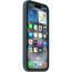 Чехол Apple iPhone 16 Silicone Case with MagSafe Lake Green (MYY83)