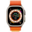 Ремешок Apple Watch 49mm Alpine Loop Orange Medium (MQE03)