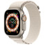 Ремешок Apple Watch 49mm Alpine Loop Starlight Medium (MQE63)