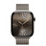 Apple Watch Series 10 46mm Natural Titanium Case with Natural Milanese Loop M/L (MWYC3)