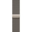 Apple Watch Series 10 42mm Natural Titanium Case with Natural Milanese Loop (MWXF3)