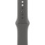 Apple Watch Series 10 42mm Natural Titanium Case with Stone Gray Sport Band S/M (MWXD3)
