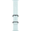Apple Watch Ultra 2 Black Titanium Case with Ice Blue Ocean Band (MYP83)