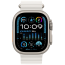 Apple Watch Ultra 2 Titanium Case with White Ocean Band (MREJ3)