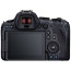 Беззеркальный фотоаппарат Canon EOS R6 Mark II kit (24-105mm) IS STM (5666C030)