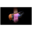 Стайлер (выпрямитель) Dyson Airstrait HT01 Prussian Blue/Rich Copper (408229-01) ГАРАНТИЯ 3 мес.