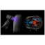 Фен Dyson Supersonic Nural Straight+Wavy Prussian Blue/Rich Copper (122612-01) ГАРАНТИЯ 12 мес.