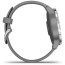Смарт-часы Garmin Vivoactive 4S Powder Gray/Silver (010-02172-03/010-02172-01) ГАРАНТИЯ 12 мес.