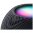 Apple HomePod Mini Space Gray (MY5G2) (Уценка)