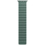 Ремешок Switcheasy Skin Silicone Magnetic Watch Band for Apple Watch 42/44/45/49mm Pine Green (MAW245078PG22