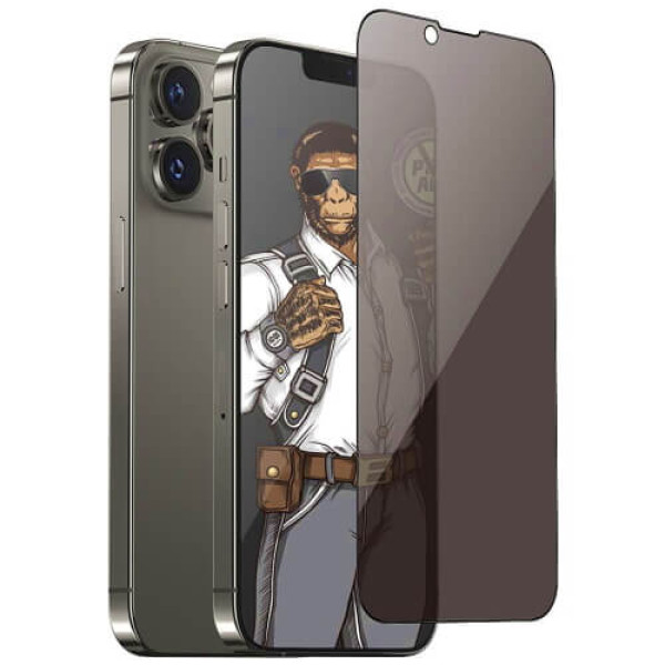 Захисне скло Blueo Full Screen Anti-Peep Glass for iPhone 14 Pro Max Black