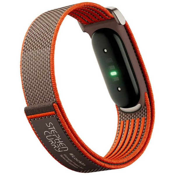 Фітнес-трекер Google Fitbit Air Rye