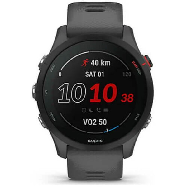 Смарт-годинник Garmin Forerunner 255 Slate Gray (010-02641-00/10/43)