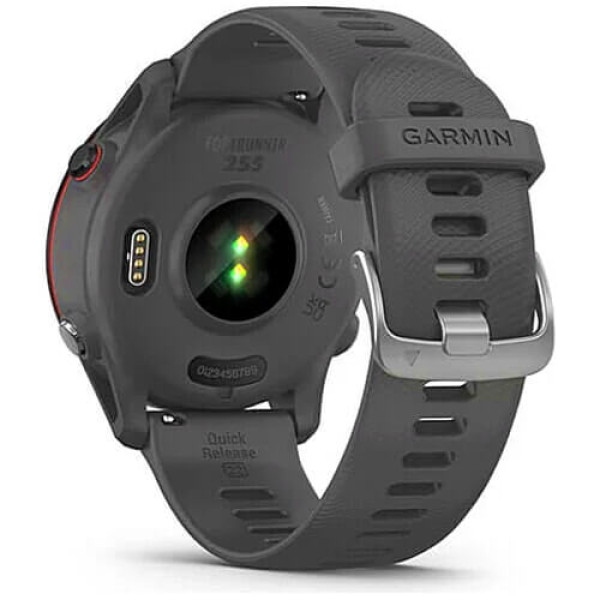 Смарт-годинник Garmin Forerunner 255 Slate Gray (010-02641-00/10/43)