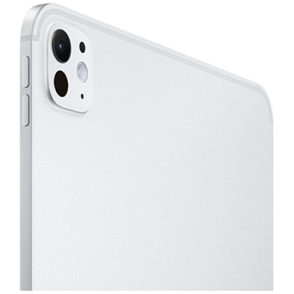 iPad Pro M4 11 Wi-Fi + Cellular 2TB Silver Nano-texture glass (MWRT3)
