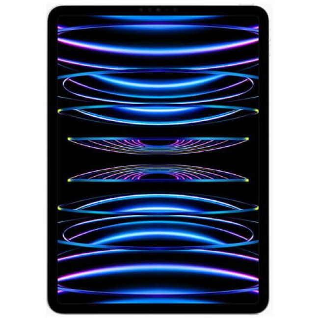 iPad Pro M2 11'' Wi-Fi + Cellular 512GB Silver (2022) (MP5D3)