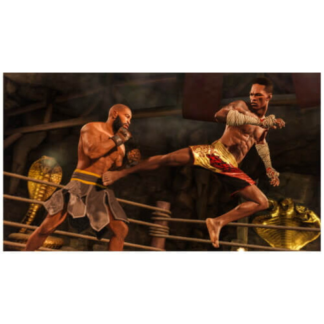Гра для PS4 UFC4