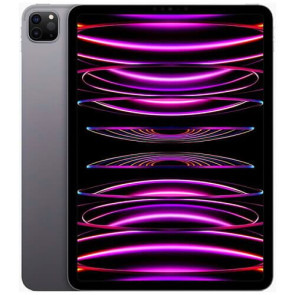 iPad Pro M2 11'' Wi-Fi + Cellular 128GB Space Gray (2022) (MP553)