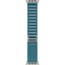 Apple Watch Ultra 3 Natural Titanium Case with Light Blue Alpine Loop Medium (MEWM4)