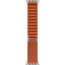 Apple Watch Ultra 3 Natural Titanium Case with Terra Cotta Alpine Loop Large (MF1V4/MFTD4)