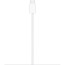 Apple MagSafe Charger 25W 1m (MX6X3)