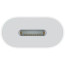 Адаптер Apple USB-C to Lightning Adapter (MUQX3)