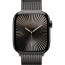 Apple Watch Series 10 42mm Slate Titanium Case with Slate Milanese Loop (MX053)
