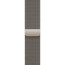 Apple Watch Series 10 46mm Natural Titanium Case with Natural Milanese Loop S/M (MC7Q4)