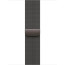 Apple Watch Series 10 46mm Slate Titanium Case with Slate Milanese Loop S/M (MC7R4)