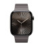 Apple Watch Series 10 42mm Slate Titanium Case with Link Bracelet (MX0M3)