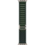 Apple Watch Ultra 2 Natural Titanium Case with Dark Green Alpine Loop Medium (MXMV3)