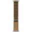 Apple Watch Ultra 4 Natural Titanium Case with Desert Alpine Loop Medium (MJAF4)