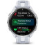 Смарт-годинник Garmin Forerunner 965 Titanium Bezel with Whitestone Case та Whitestone/Powder Gray Silicone Band (010-02809-01)