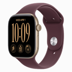 Apple <br>Watch 12